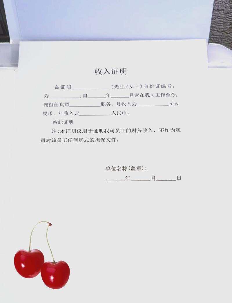 德州代开收入证明的正确姿势：张会计的突围战